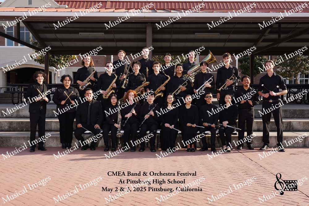 Musical Images